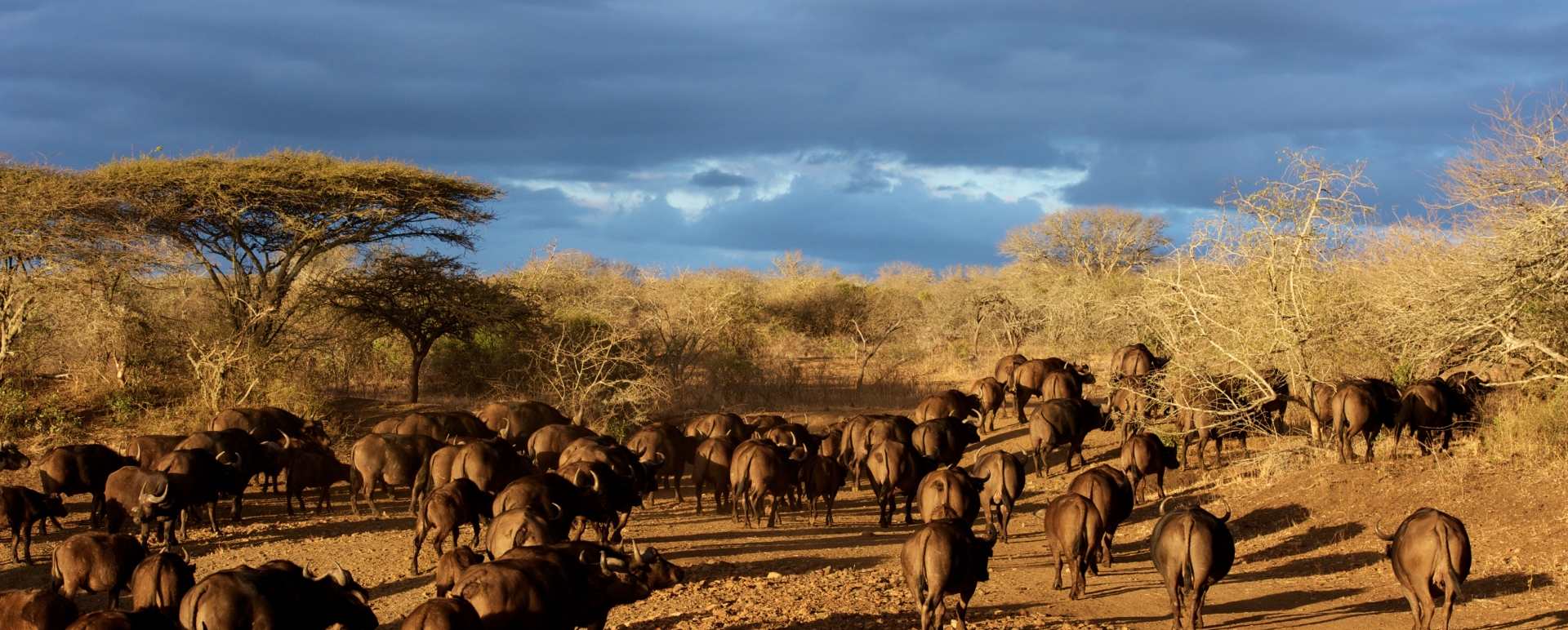 Thanda Private Game Reserve