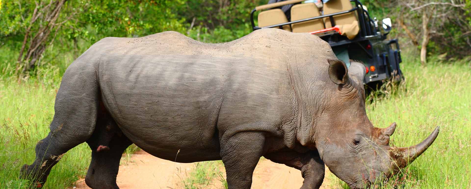 Timbavati Private Nature Reserve