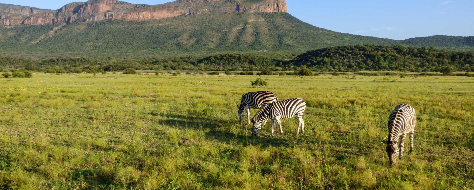 Waterberg