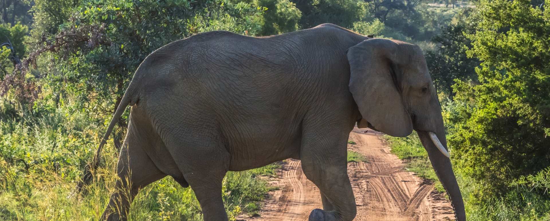 Welgevonden Game Reserve