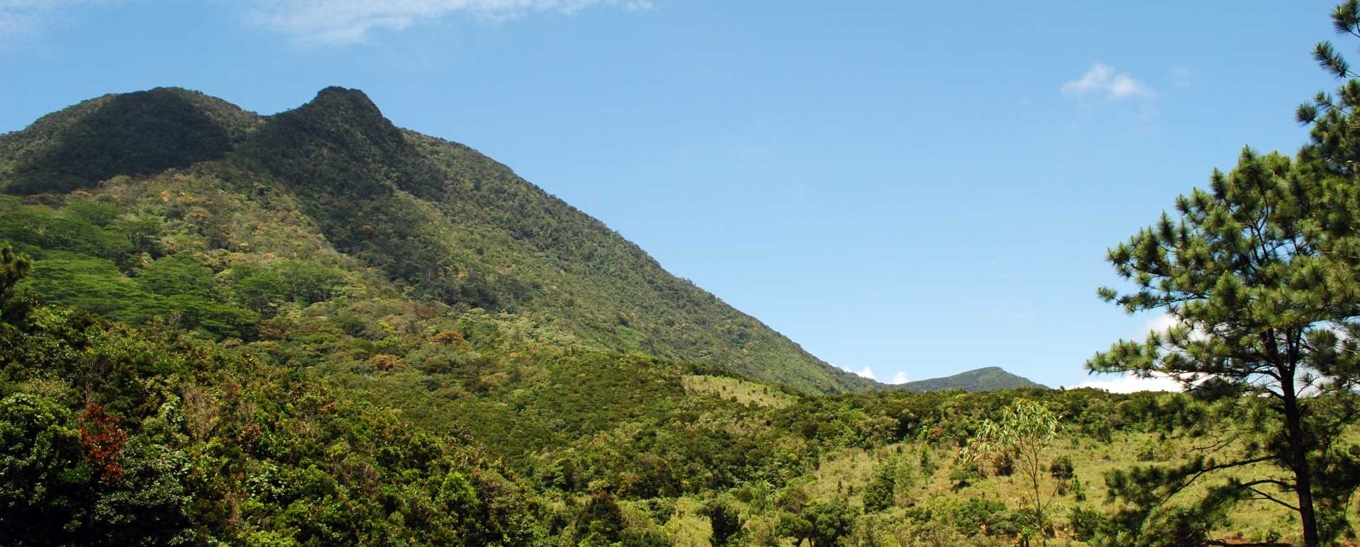 Trekking in the Knuckles Range