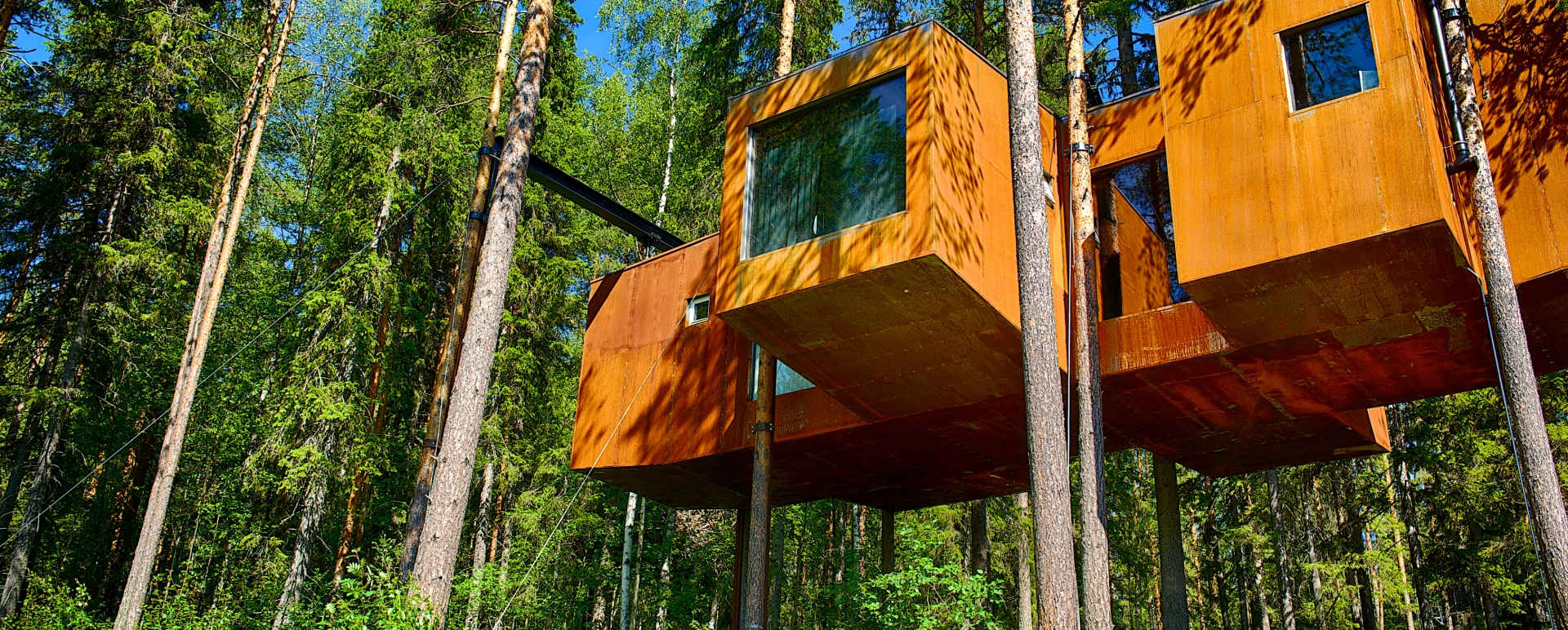 The Dragonfly - Treehotel