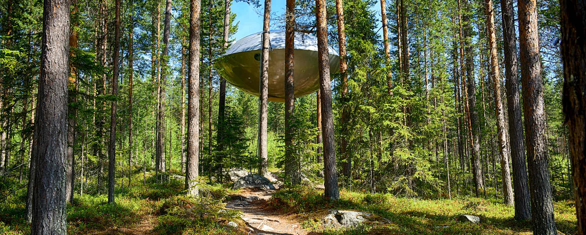 The UFO - Treehotel