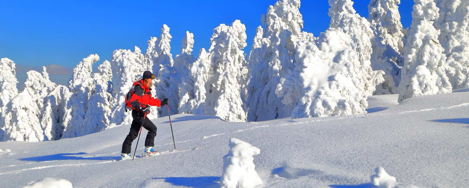 Crosscountry skiing in Lulea