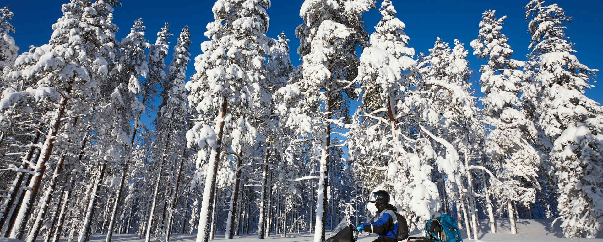 Snowmobiling at Lapland Guesthouse