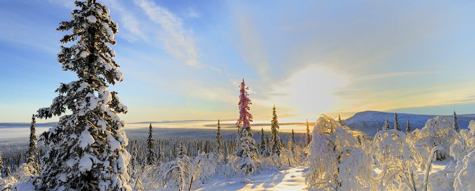 Lapland 