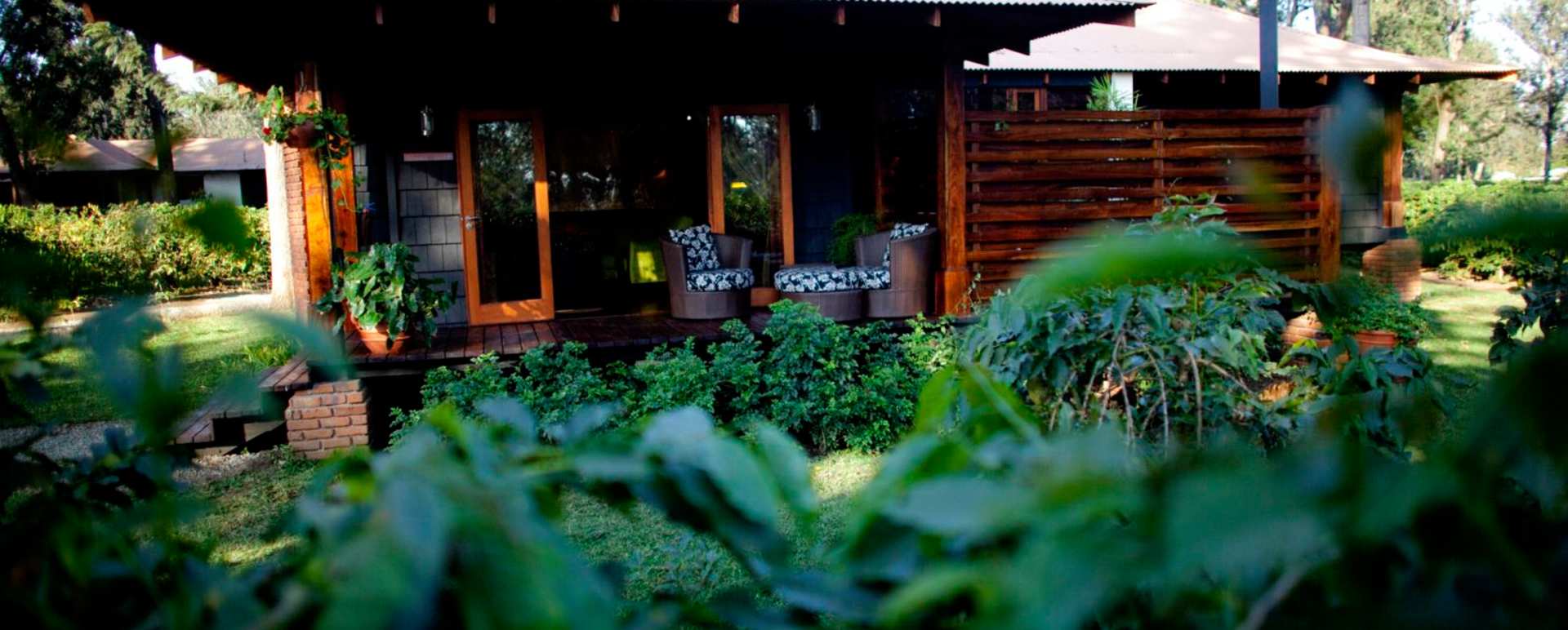 Tent exterior - Arusha Coffee Lodge