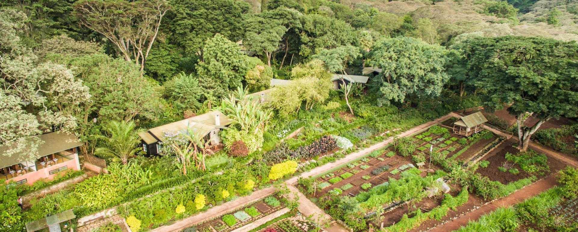 The gardens at Gibbs Farm 