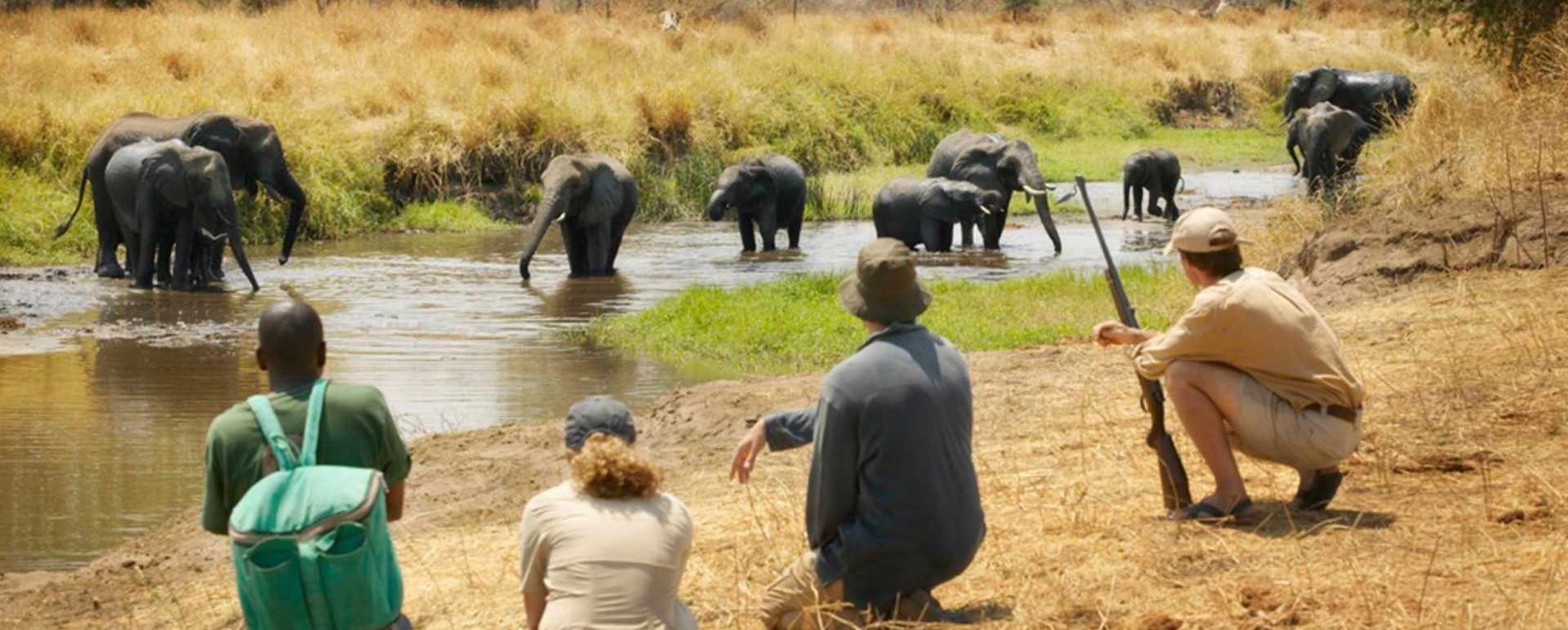 Elephants - Oliver's Camp