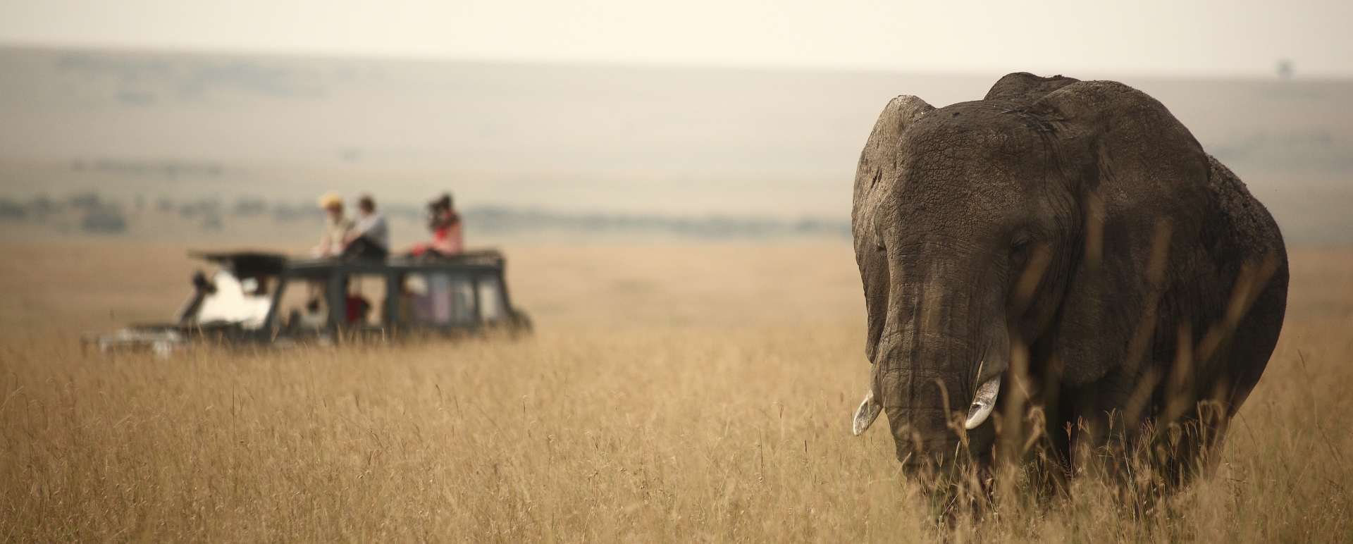 Rekero Camp safari 