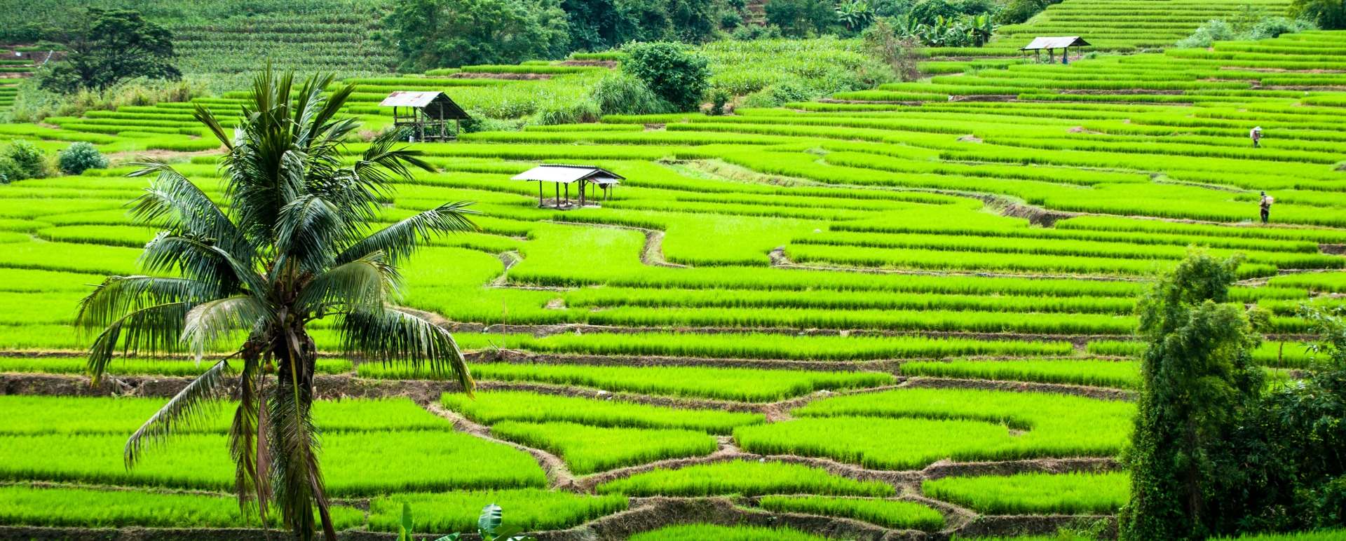 Cycling Wiang Khum Khum to Ban Tawai