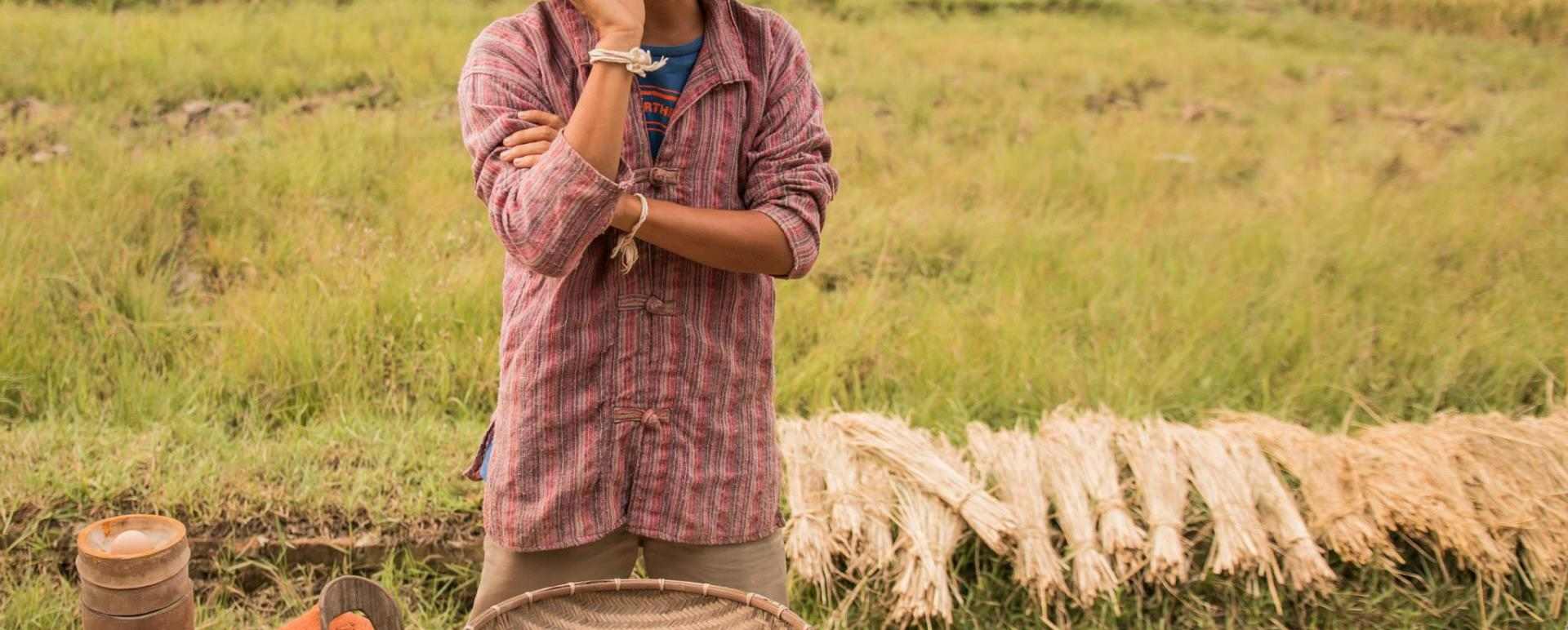 Learn how to harvest rice  