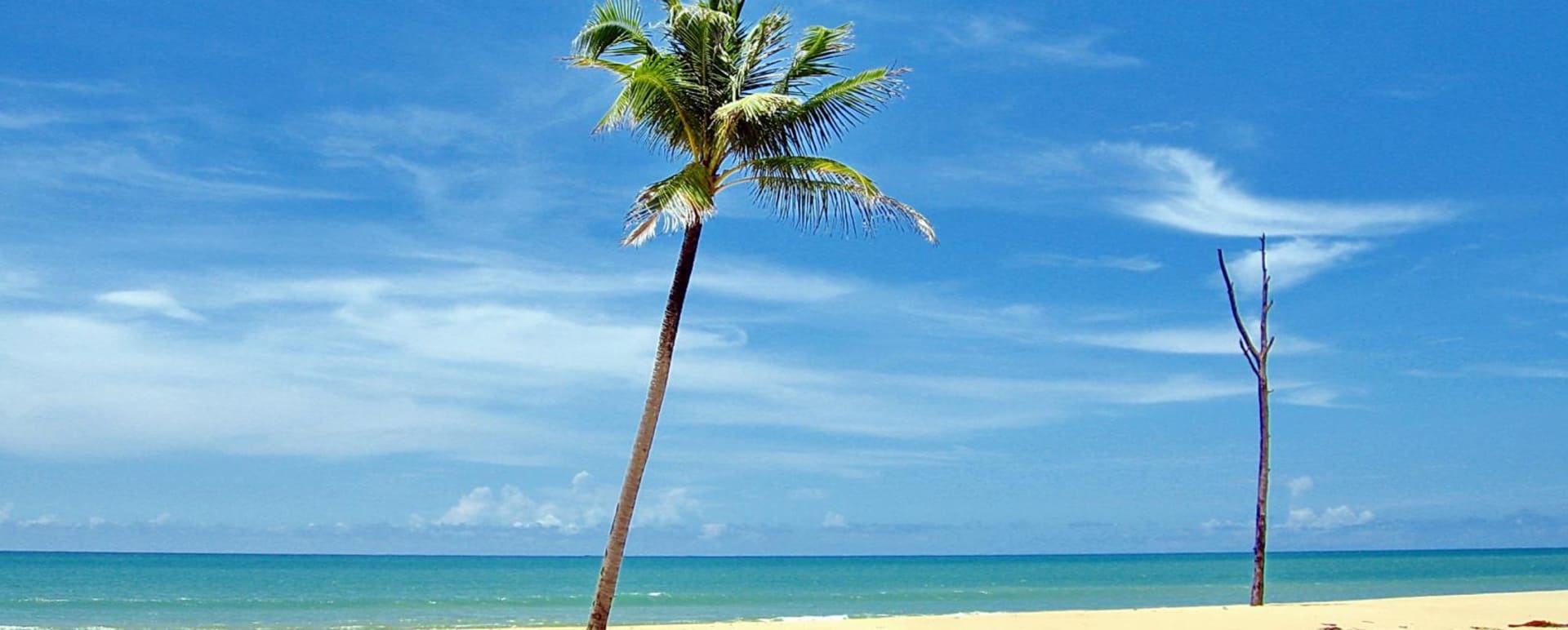 Thai Beach 