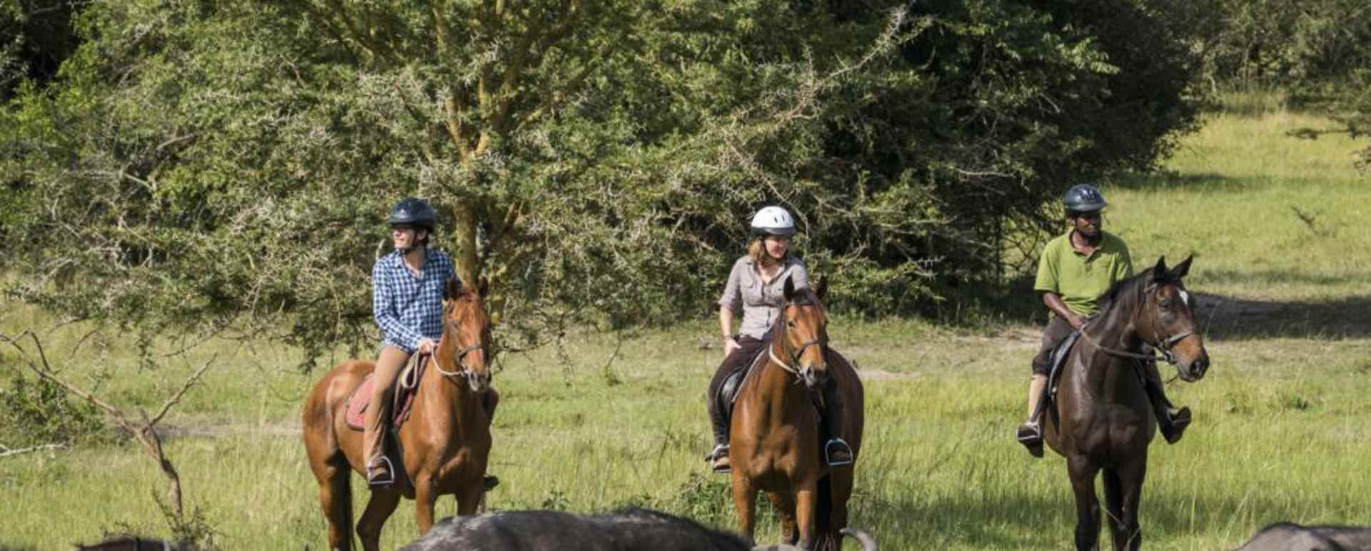 Horseback Safari - Mihingo Lodge