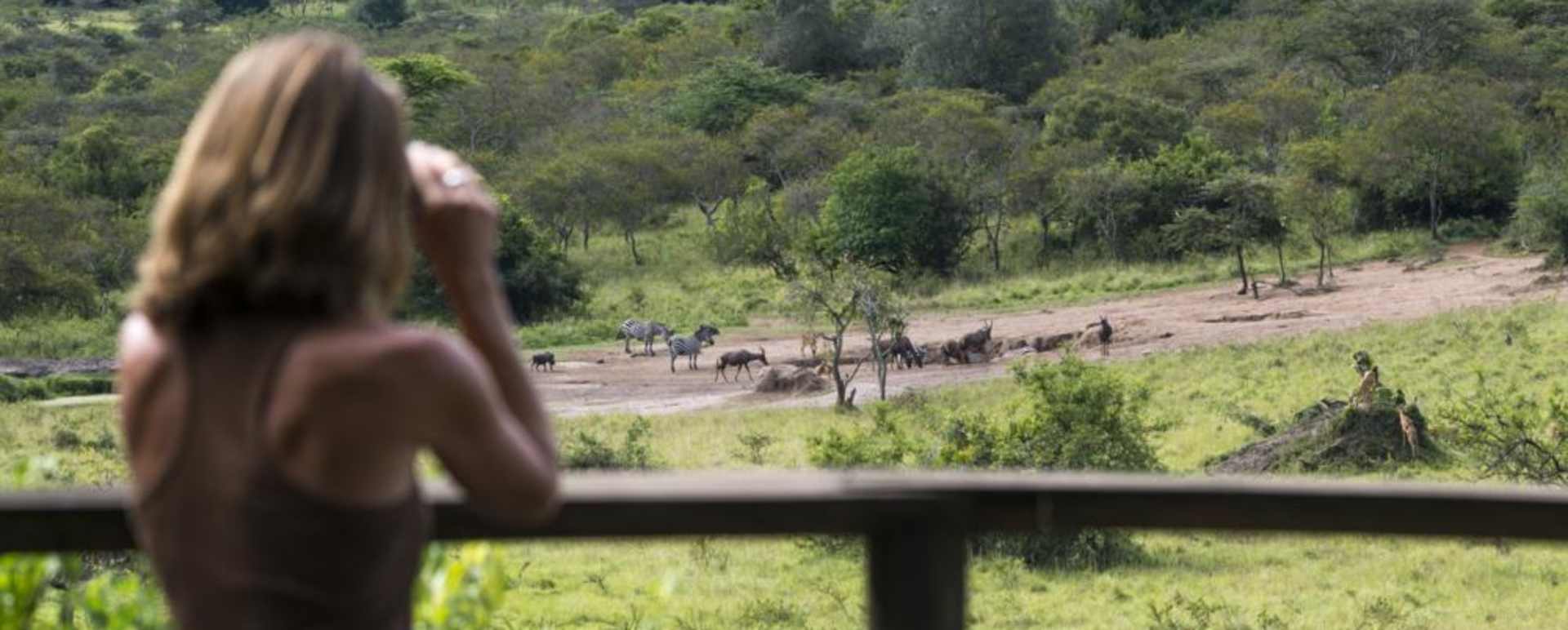 View - Mihingo Lodge