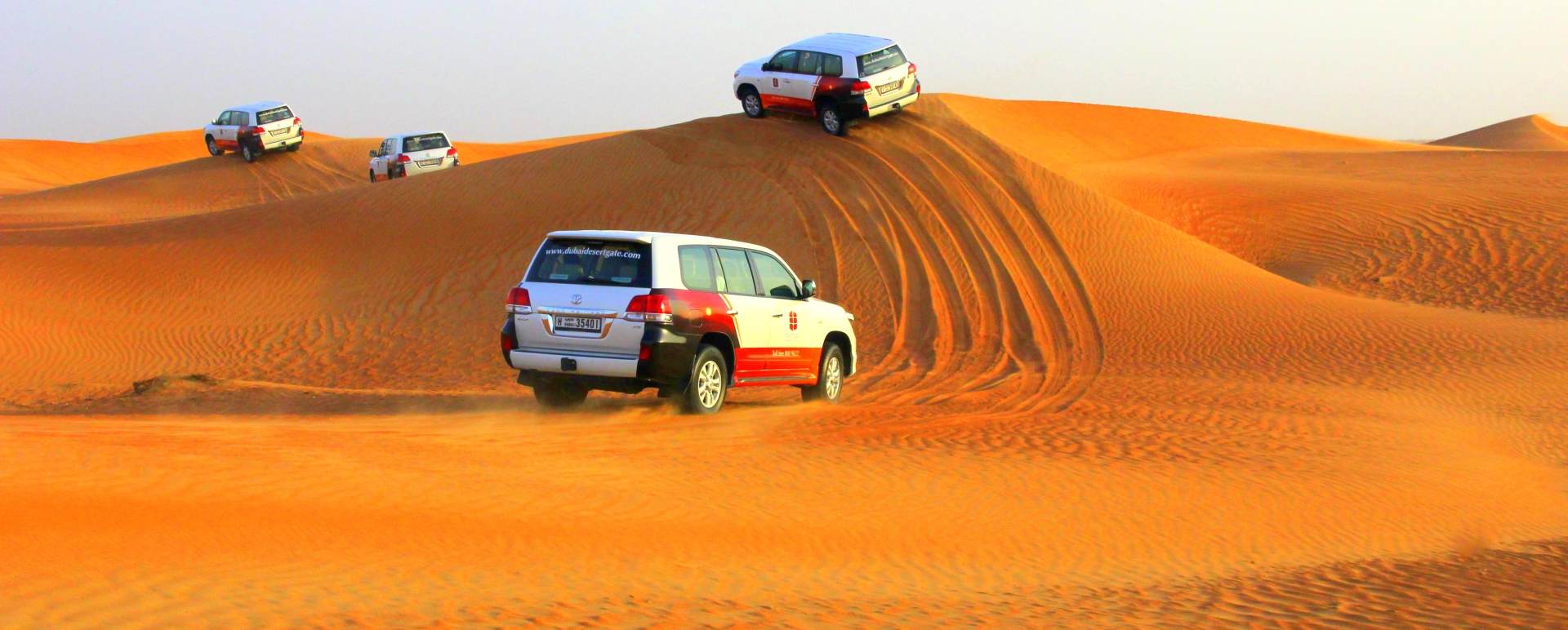 Desert Safari with BBQ Dinner