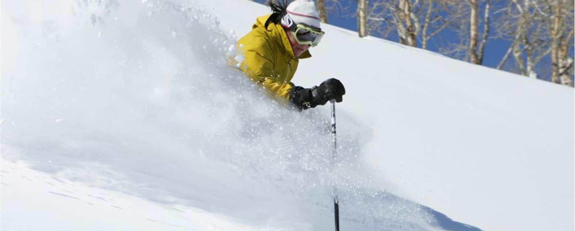 Skier - St Regis Deer Valley