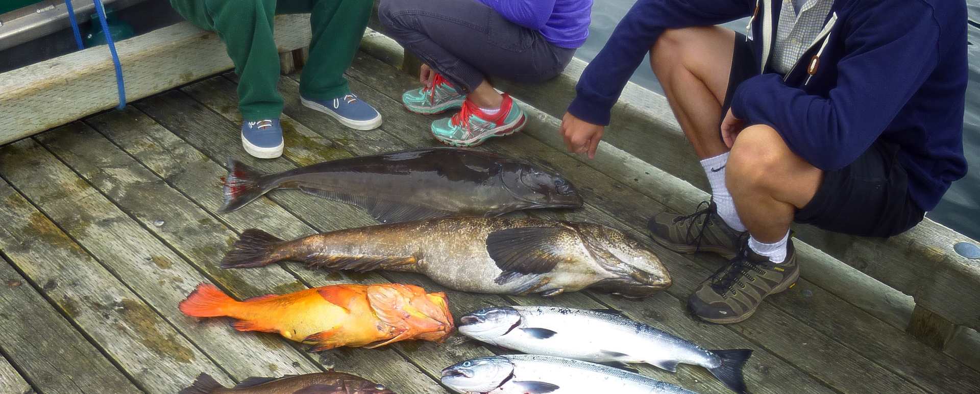 Fishing in Kachemak Bay