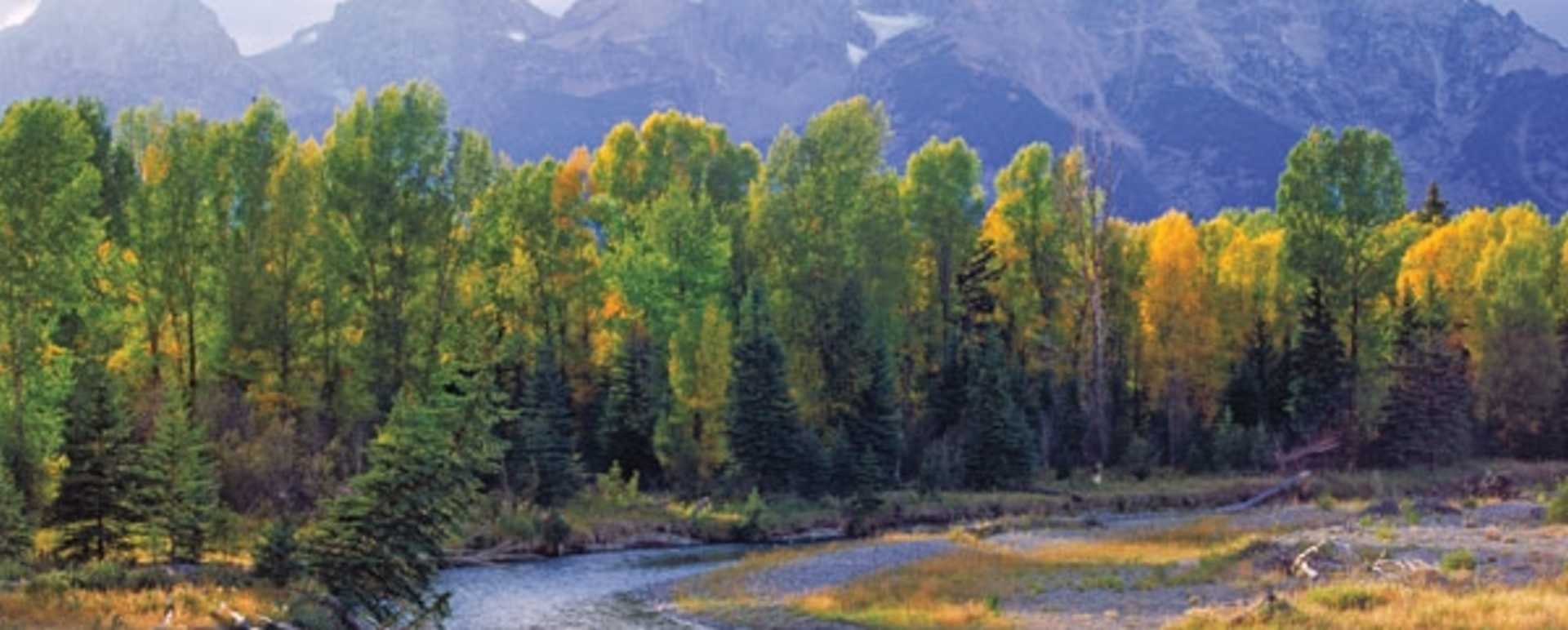 Full day Fly Fishing Experience