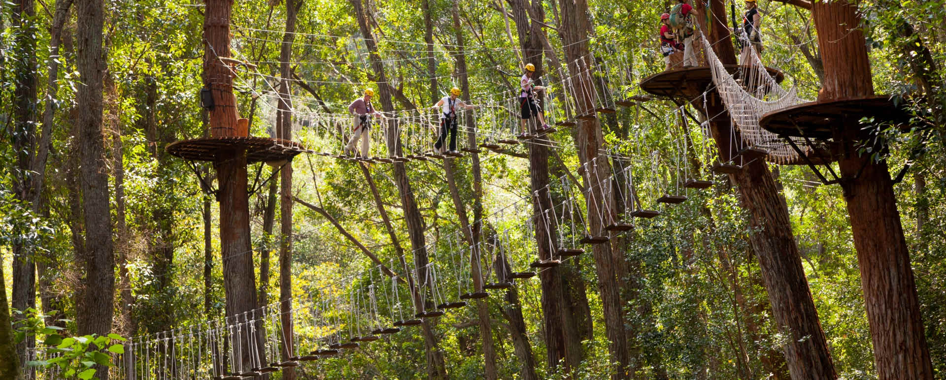 Kohala Zip and Dip Tour