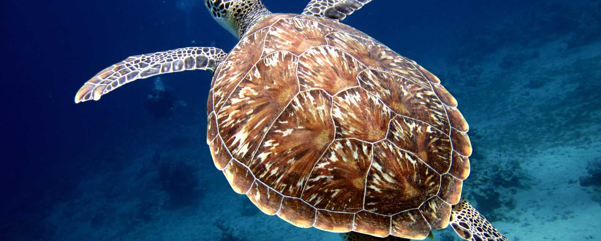 Florida Keys  