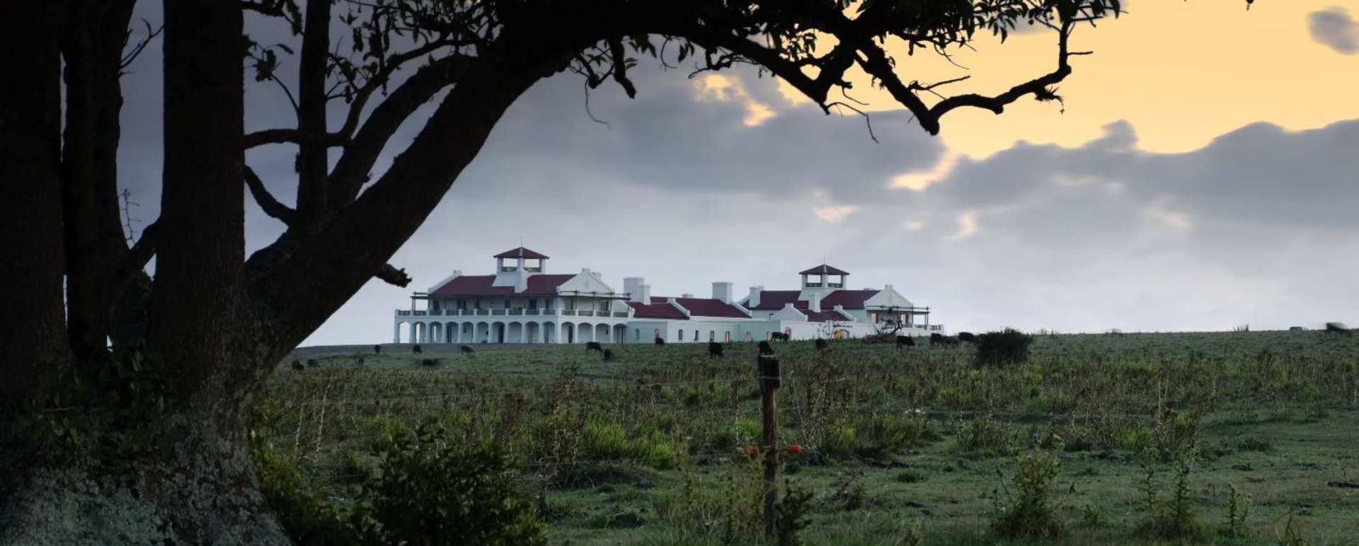 View - Estancia Vik