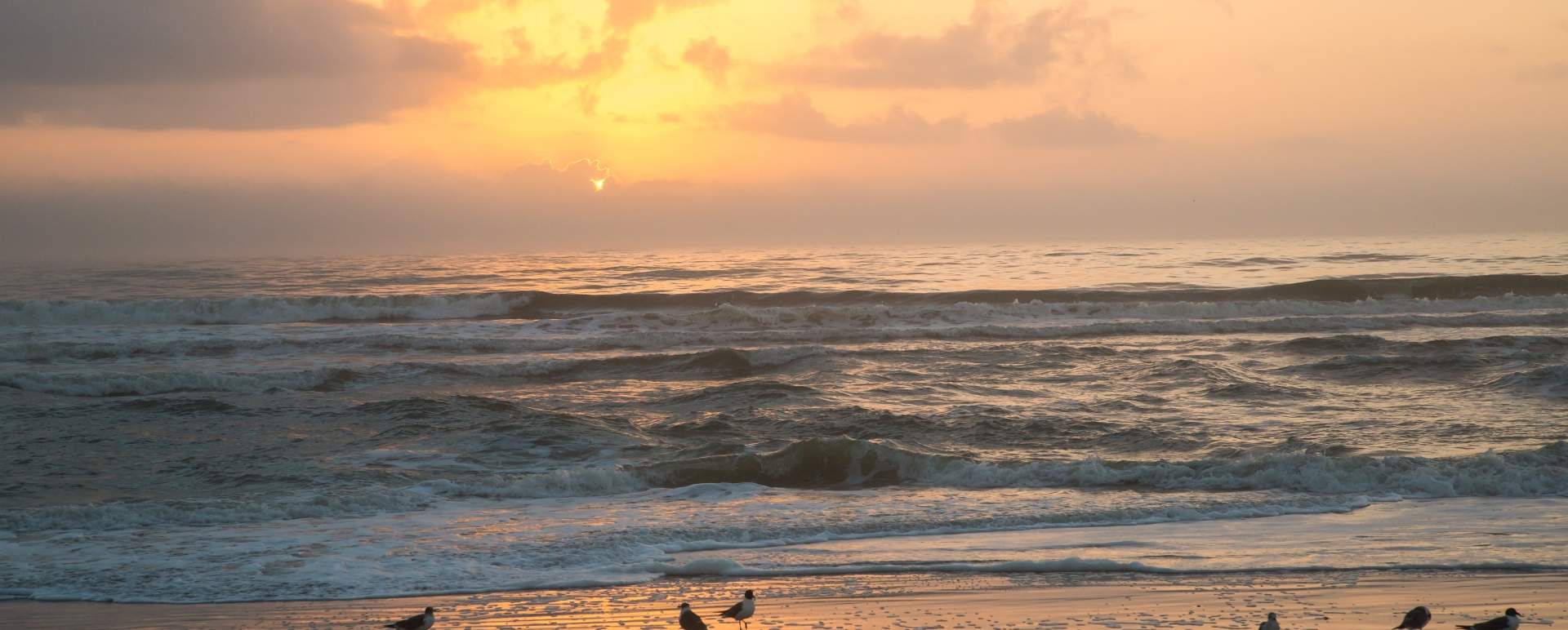 Amelia Island