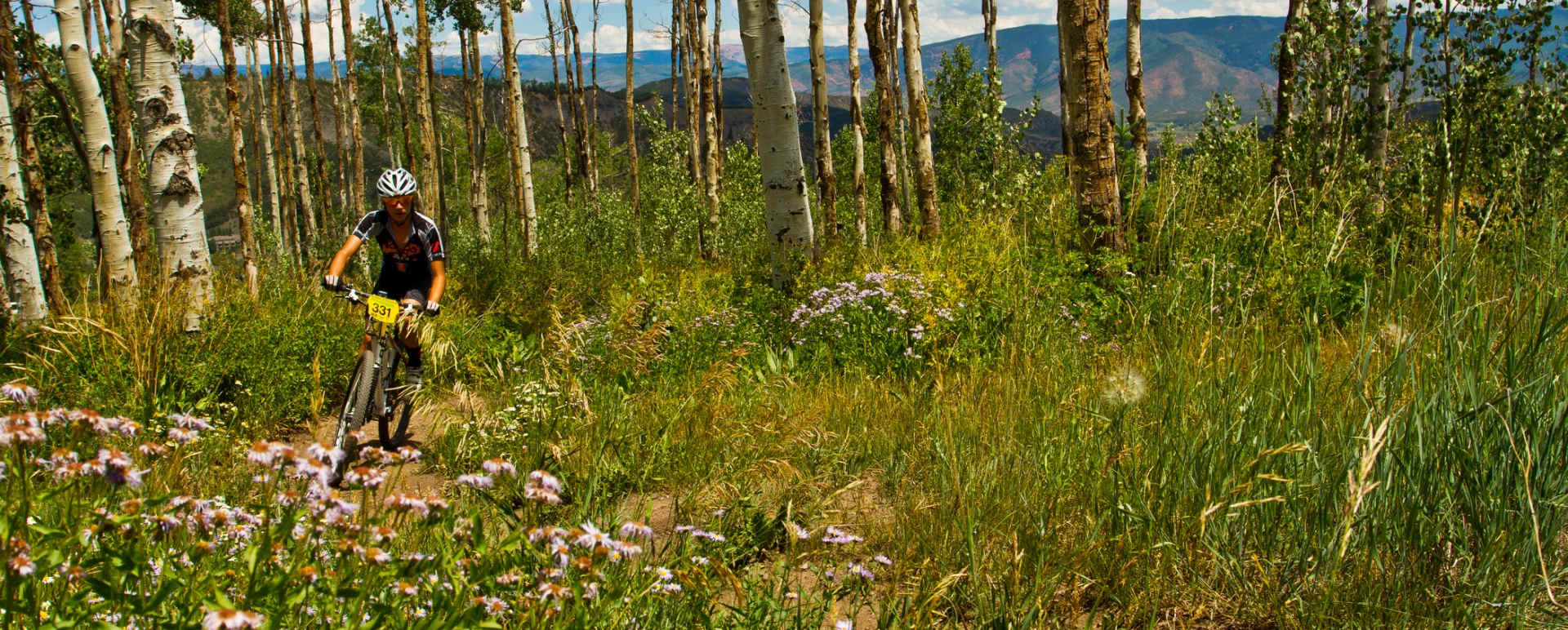 Aspen