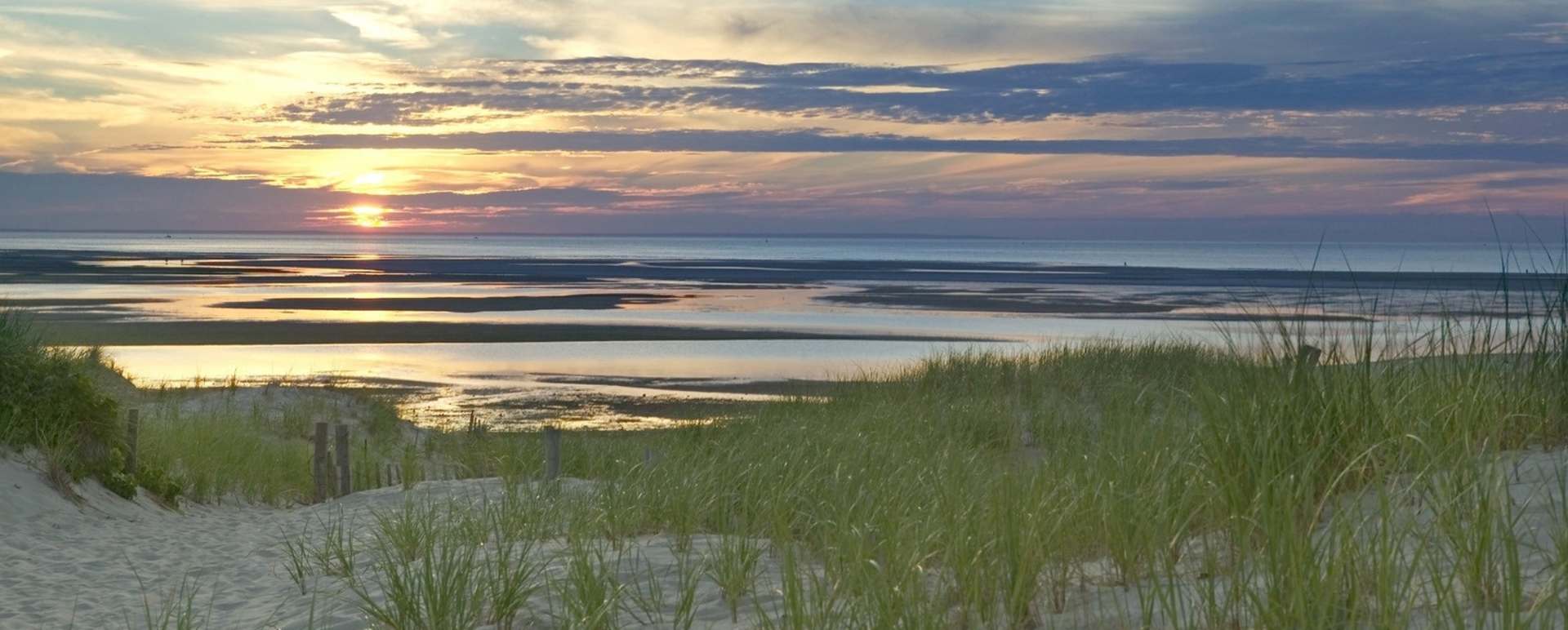 Cape Cod
