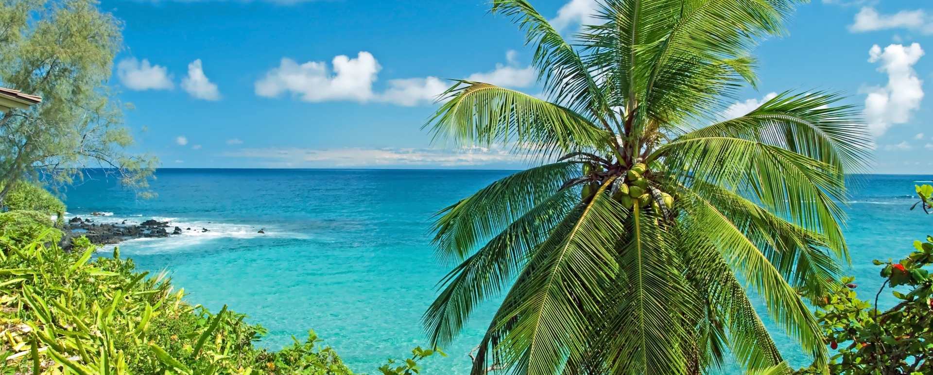 Maui