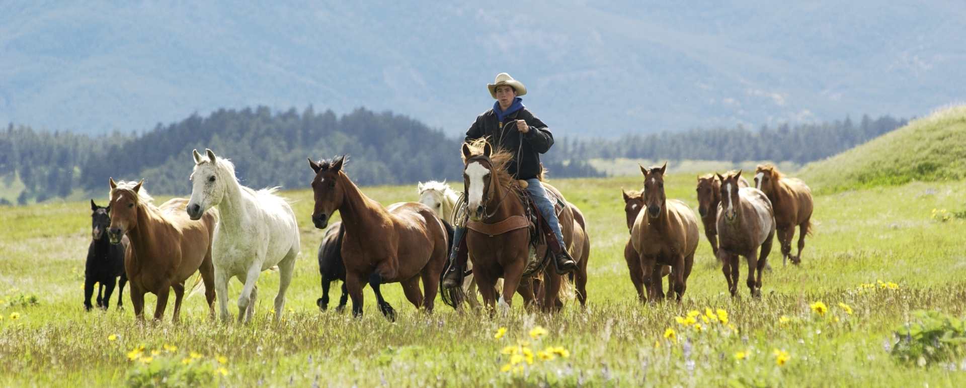 Montana