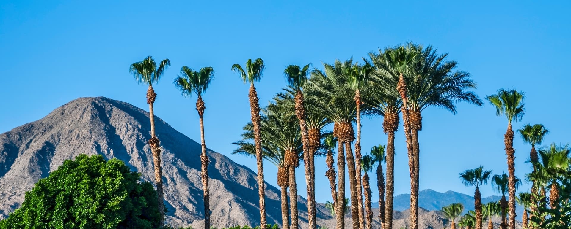 Palm Springs