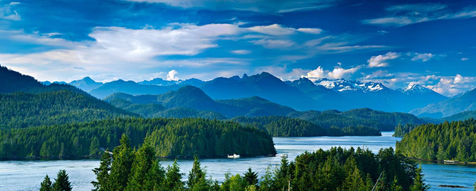 Tofino