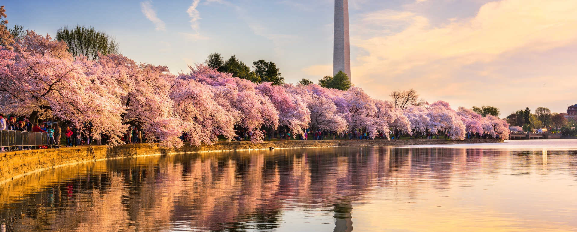 Washington DC