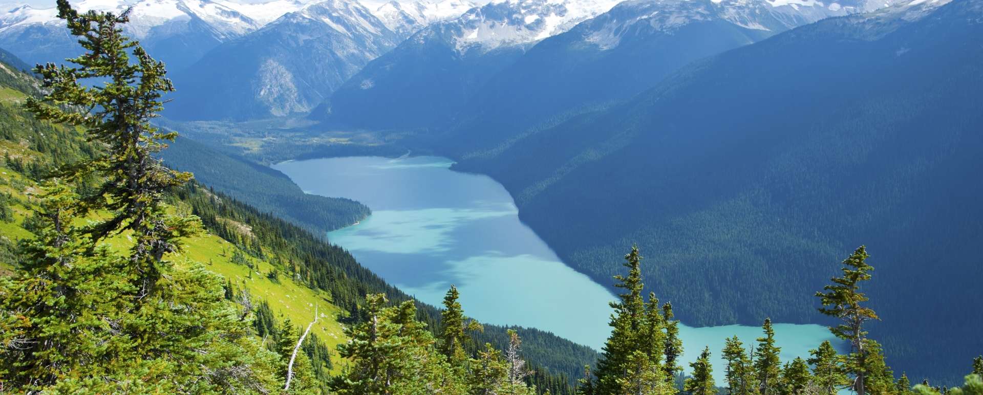 Whistler