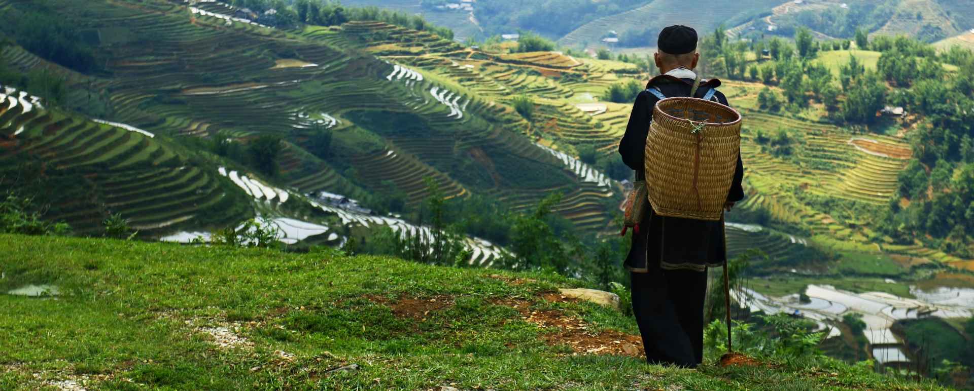 Sapa 