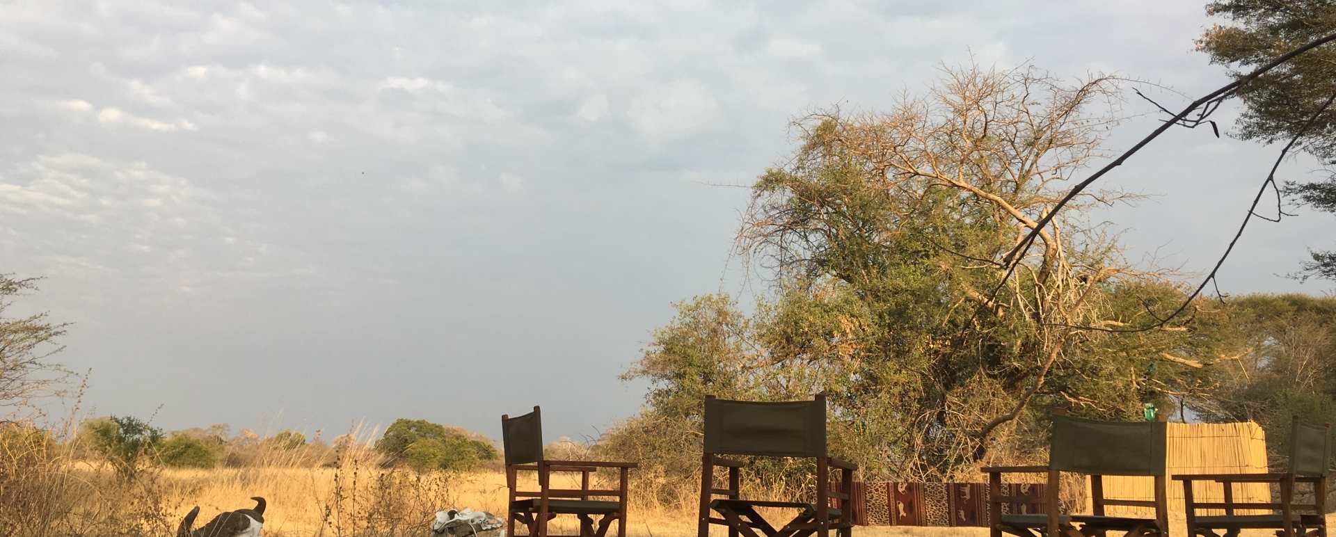 Bush dining - Ntemwa Busanga Camp