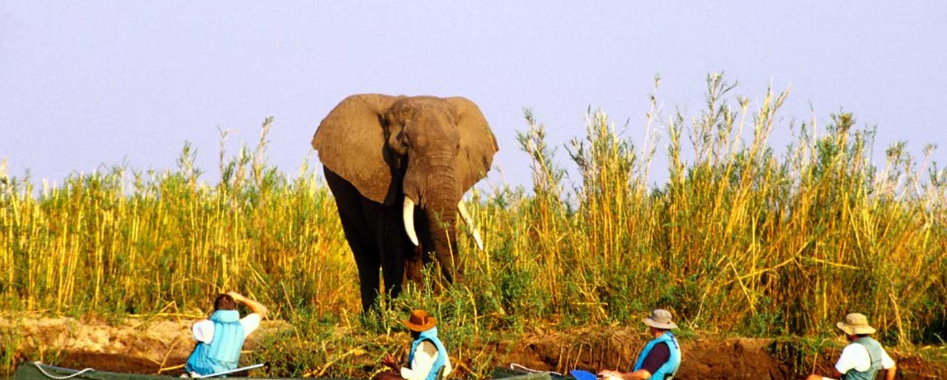 Canoeing on the Zambezi River