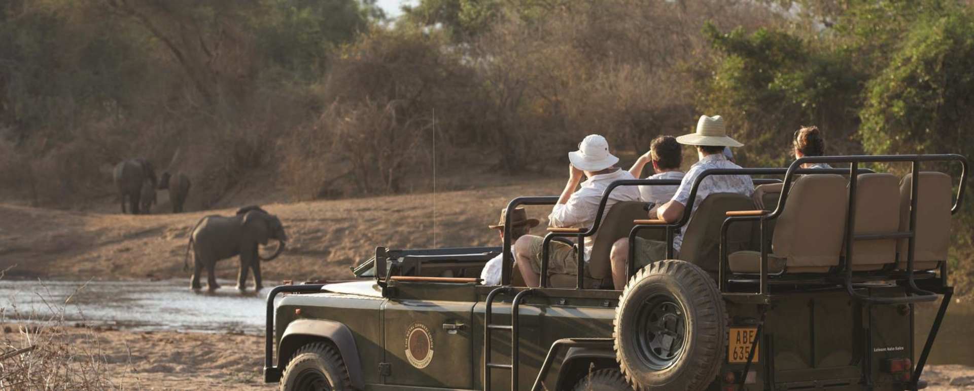 Game Viewing