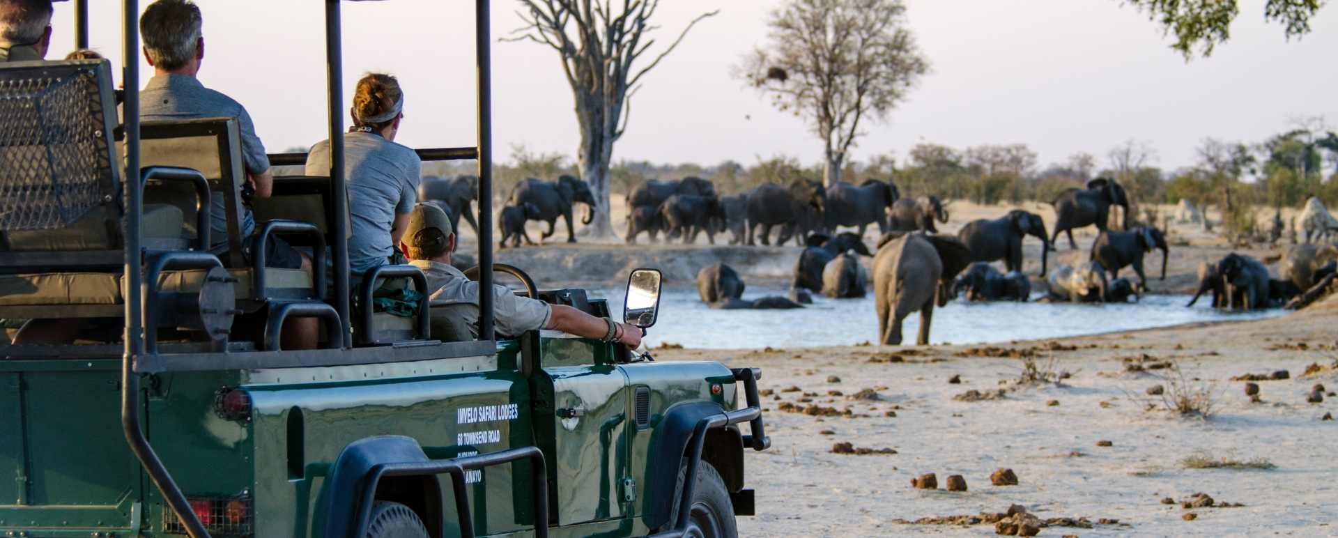 Watching elephants  - Nehimba Lodge