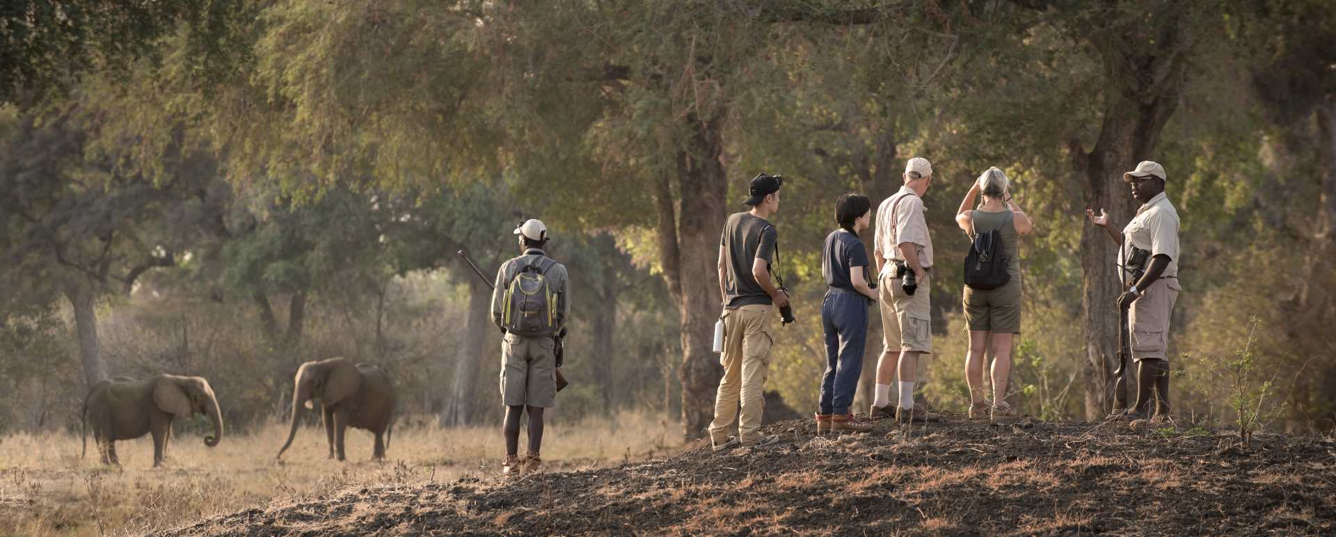 Walking Safari - 