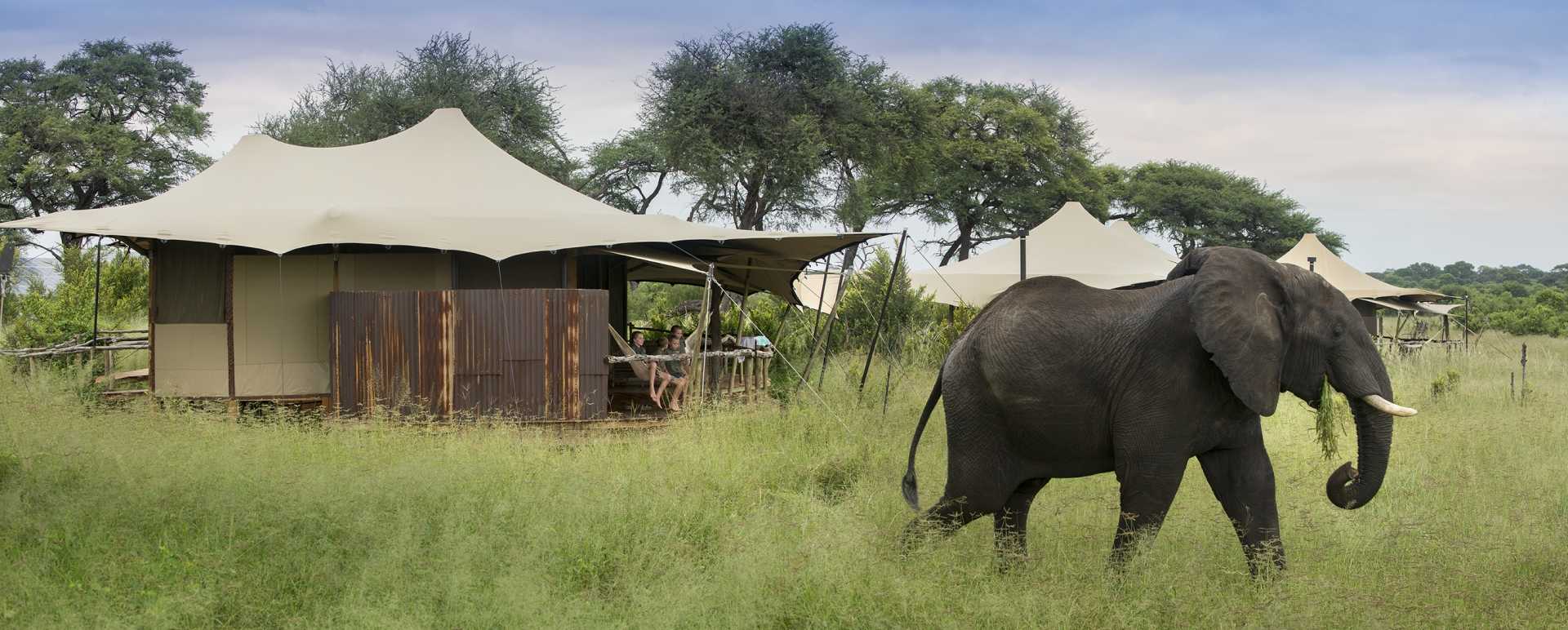 Somalisa Tent - 