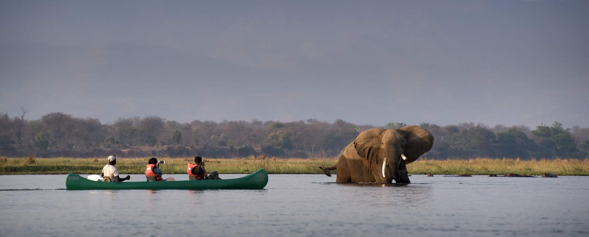 Zambezi Expeditions