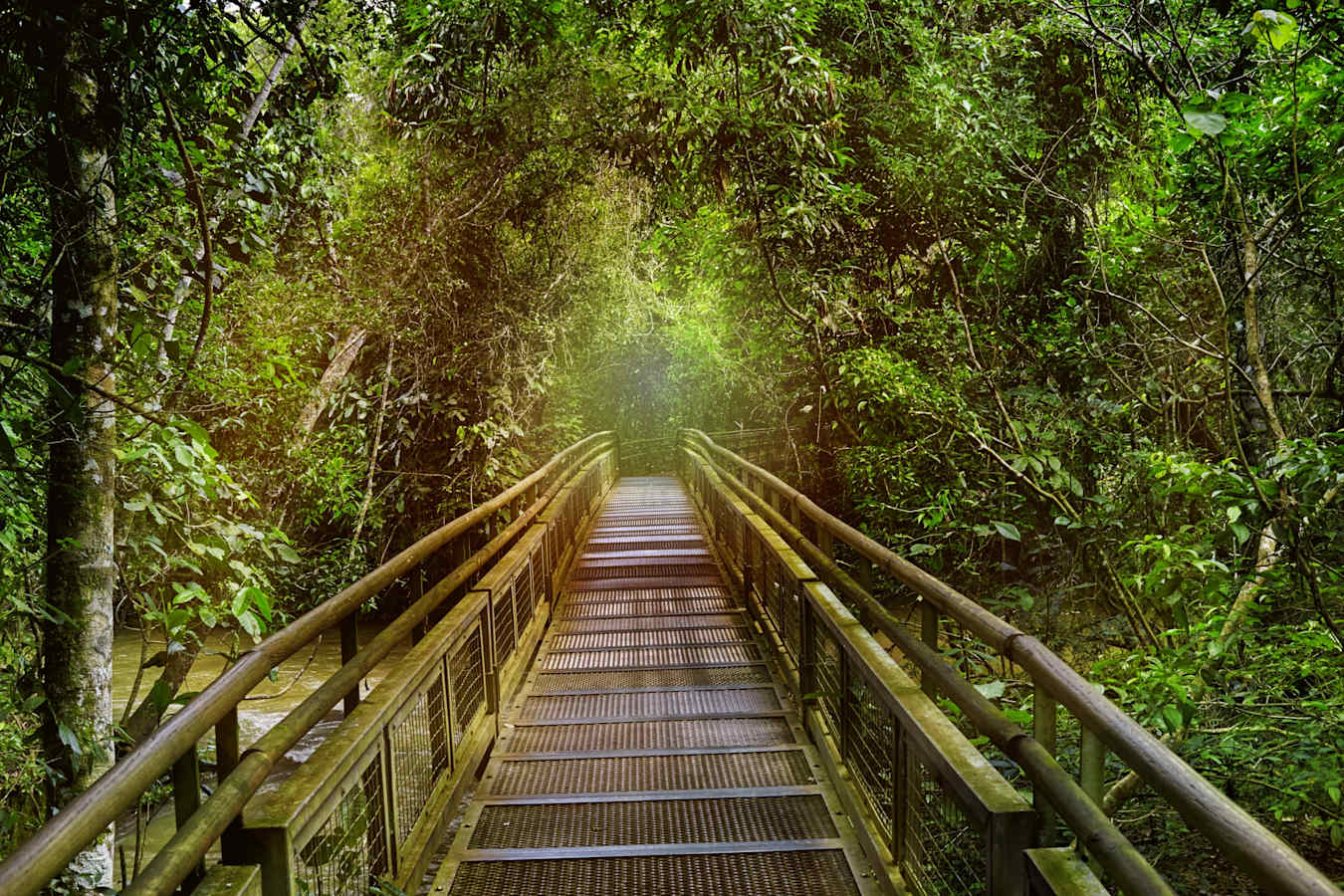Jungle boardwalks - Awasi Iguazu