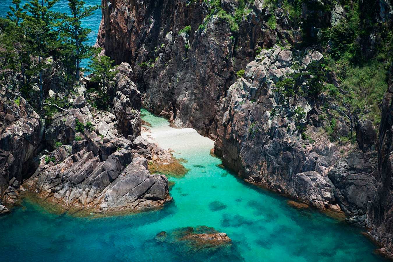 Blue Pearl Bay -  Hayman Island