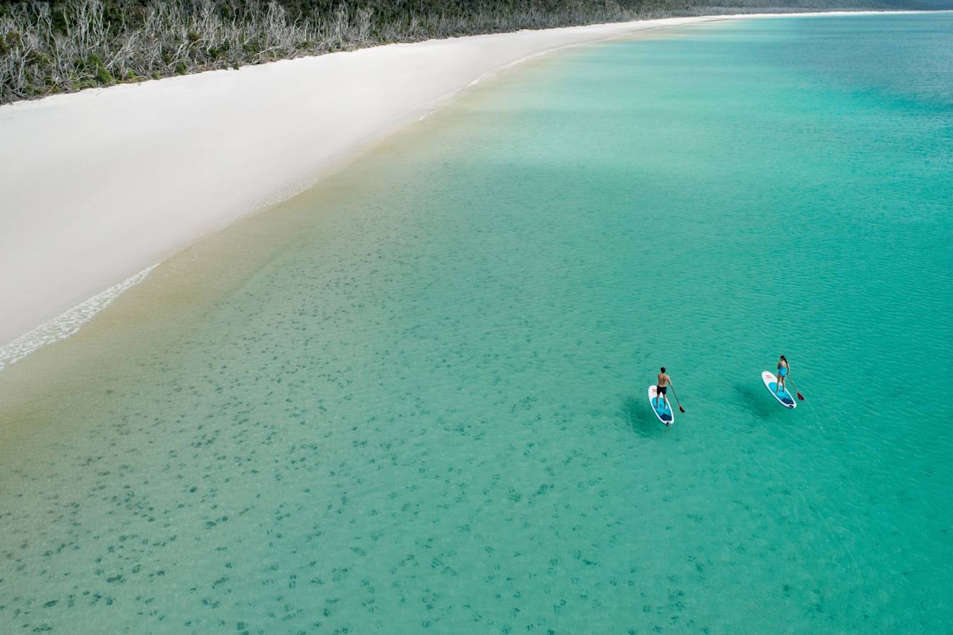 Paddle Boarding 