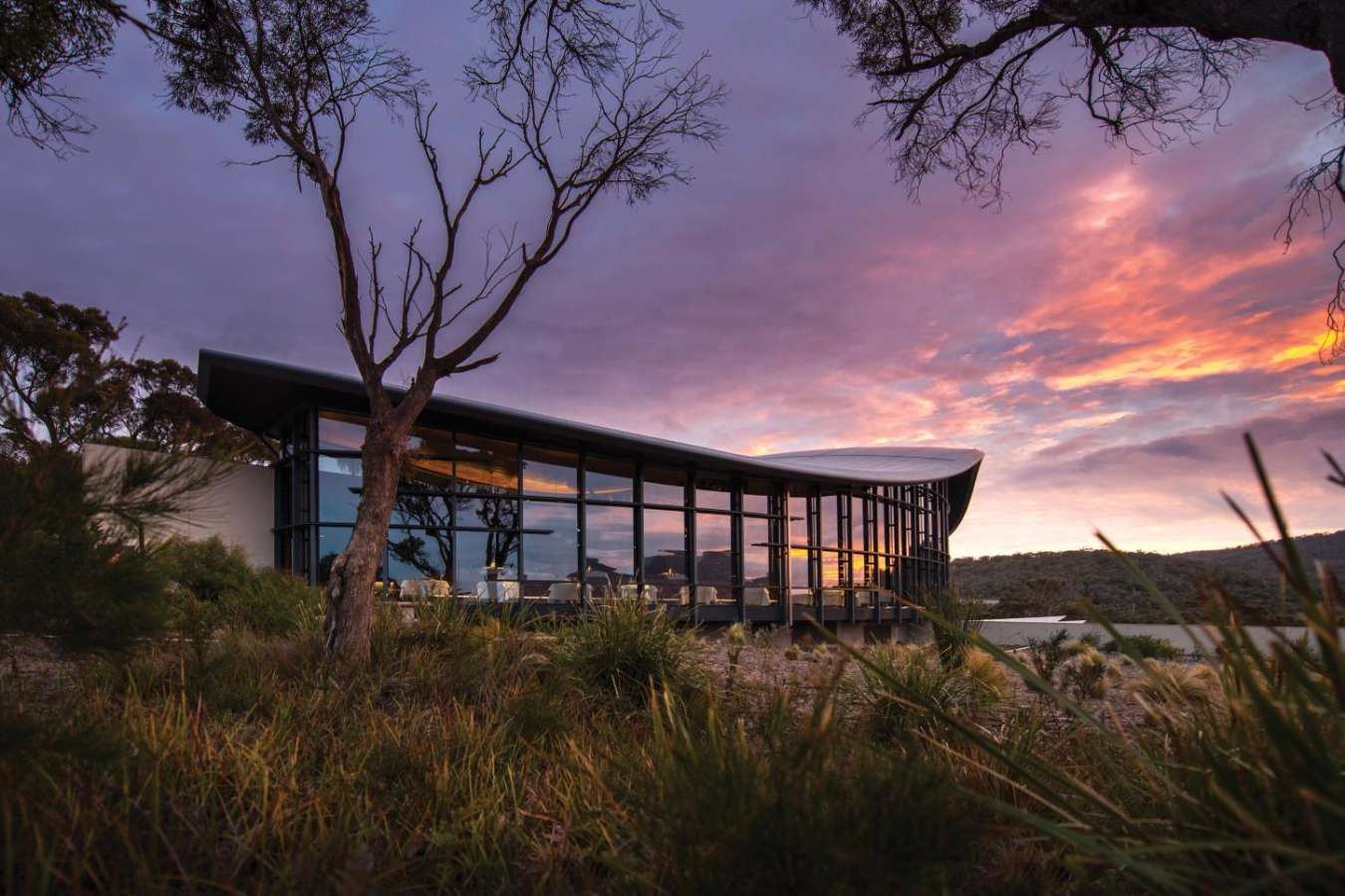 Saffire Sunrise - Saffire