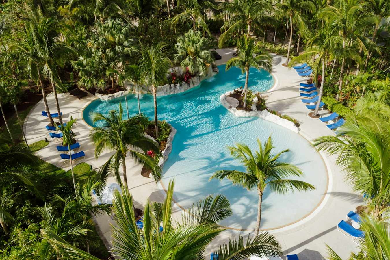 Pool - The Ocean Club 