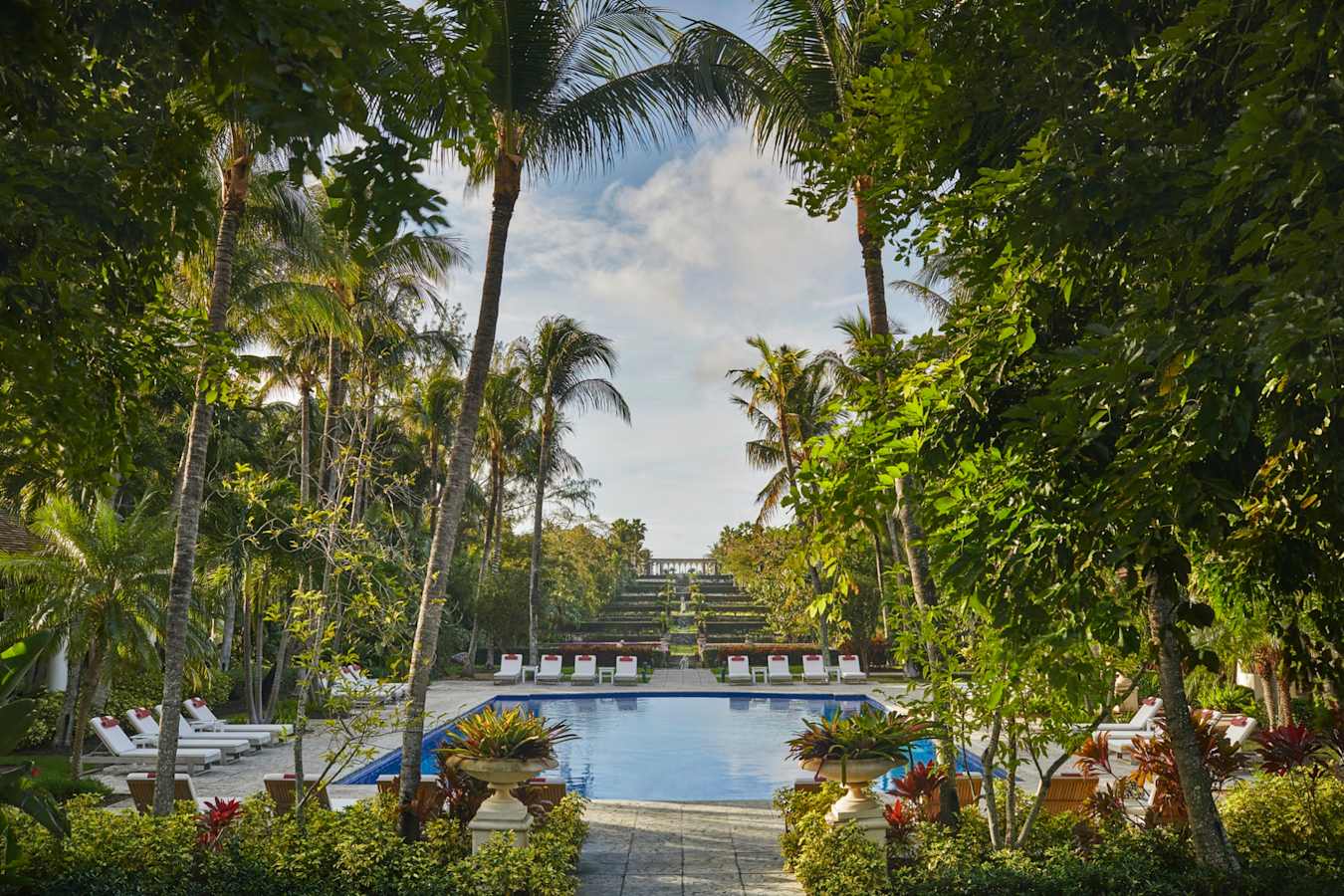 Pool - The Ocean Club  