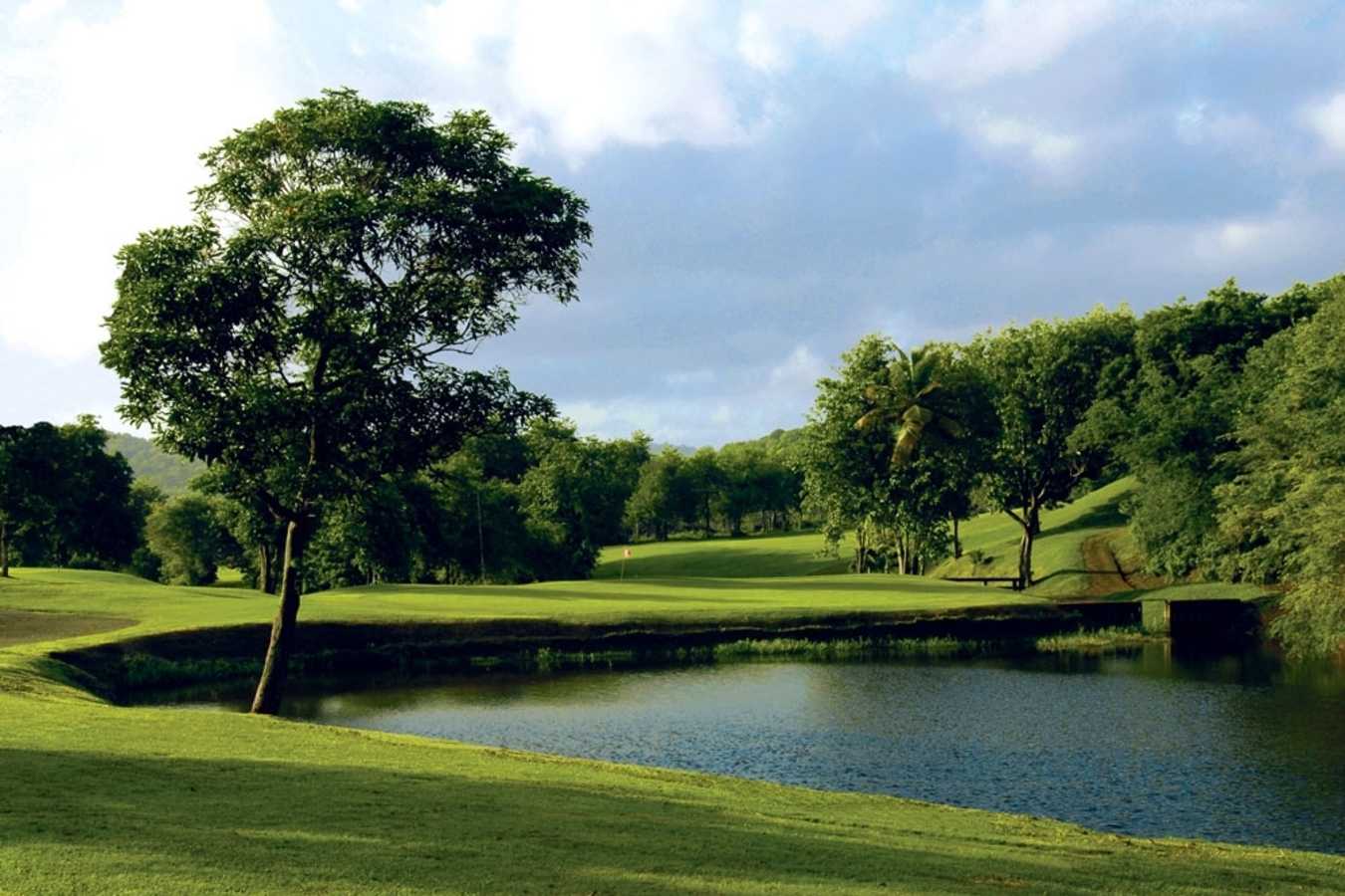 Golf Course 2 